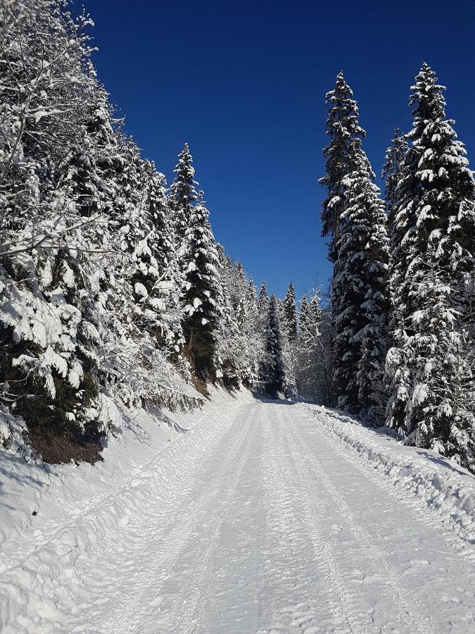 Skalny Zakatek Z Grota Solna Na Wylacznosc Lapsze Niżne Exterior foto