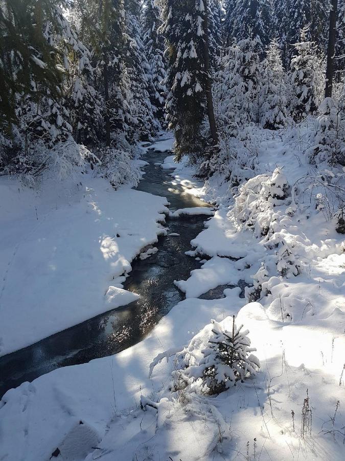 Skalny Zakatek Z Grota Solna Na Wylacznosc Lapsze Niżne Exterior foto